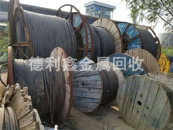 14366436.jpg 14366436.jpg